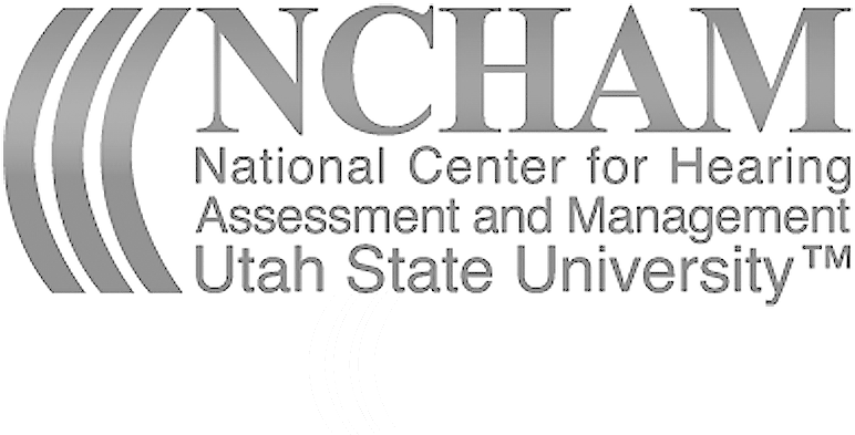 Ncham-logo2 - Ie University (800x648), Png Download