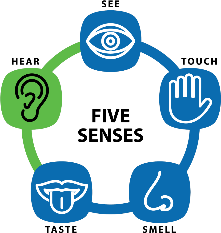 Инфографика картинки. Many sense. Sense of human альбом. Сенсорная коммуникация картинка. Many sense.