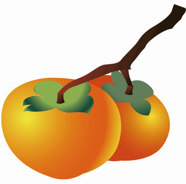 Two Persimmon Png Transparent Image - Persimmon (650x643), Png Download