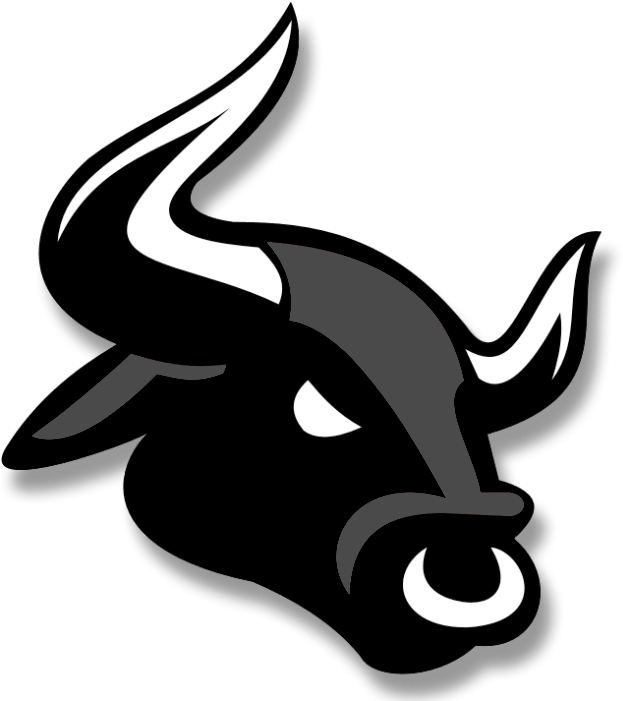 Bloomingdale High School Logo (700x700), Png Download