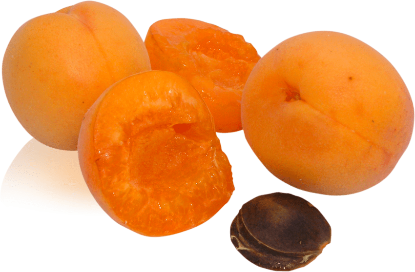 Free Png Peach Png Images Transparent - Png Durazno (850x558), Png Download