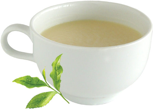 Tea Tree Cafe Hot Green Milk Tea - Cup (500x500), Png Download