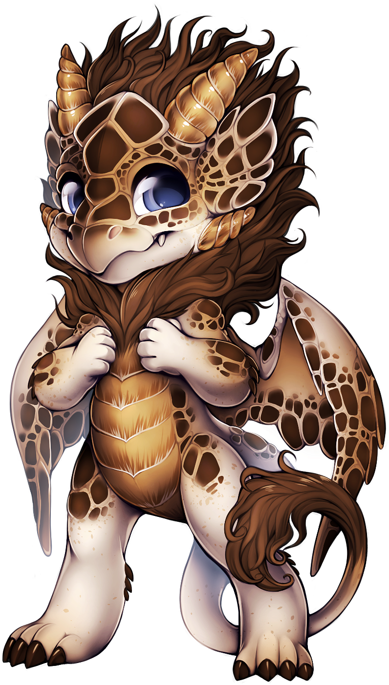 Download Dragon Turtle - Full Size PNG Image - PNGkit