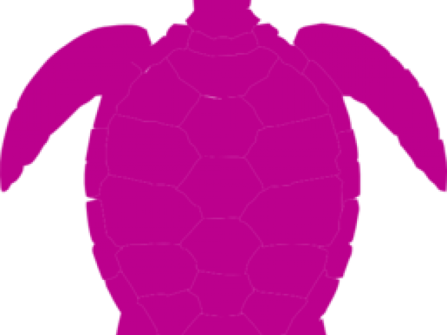 Sea Turtle Clipart Tutle - Turtle Clipart Png Black (640x480), Png Download