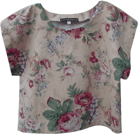 Blouse (450x450), Png Download