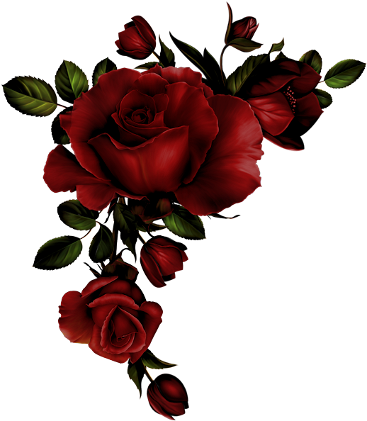 Золотая Бабочка - Roses Corner Border Png (525x600), Png Download