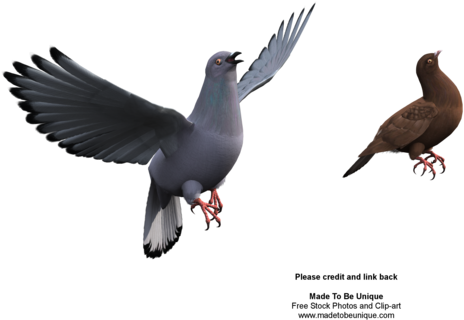 Net Sorted, The Flight Of The Dove - Bird 3d Png (600x480), Png Download