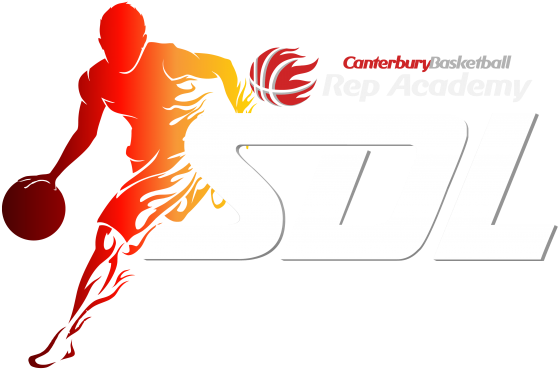 Summer Development League - Do Basketball Players Silhouette (768x411), Png Download