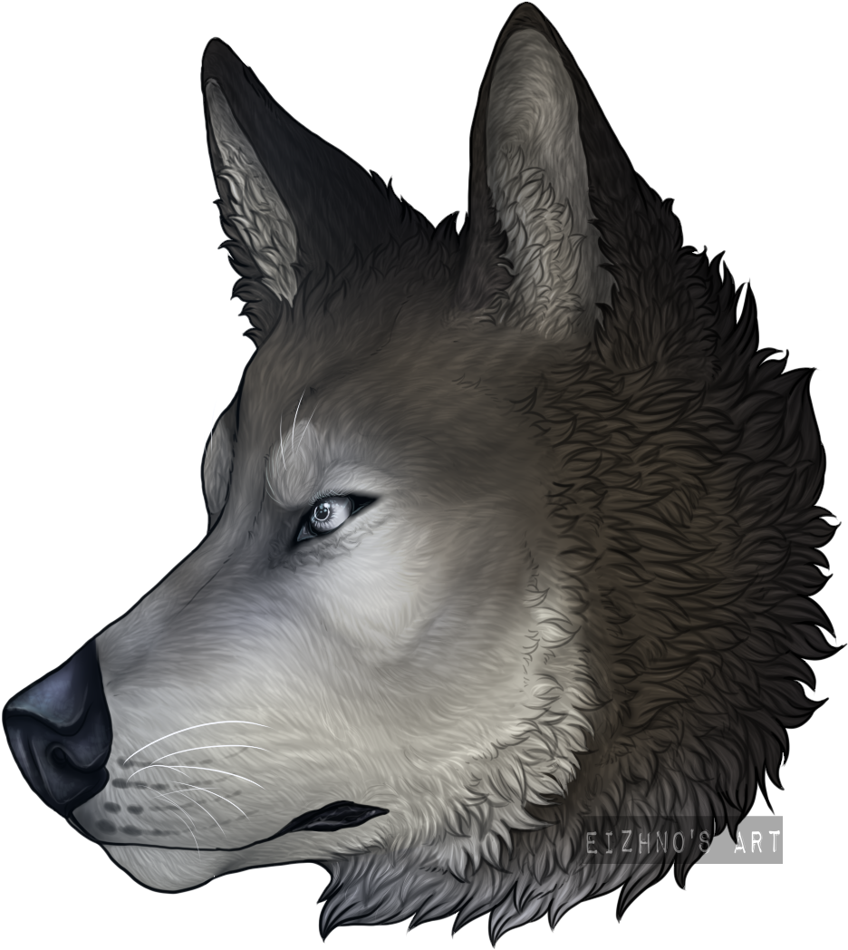 [ych] Not Just A Pretty Face - Czechoslovakian Wolfdog (1085x1136), Png Download