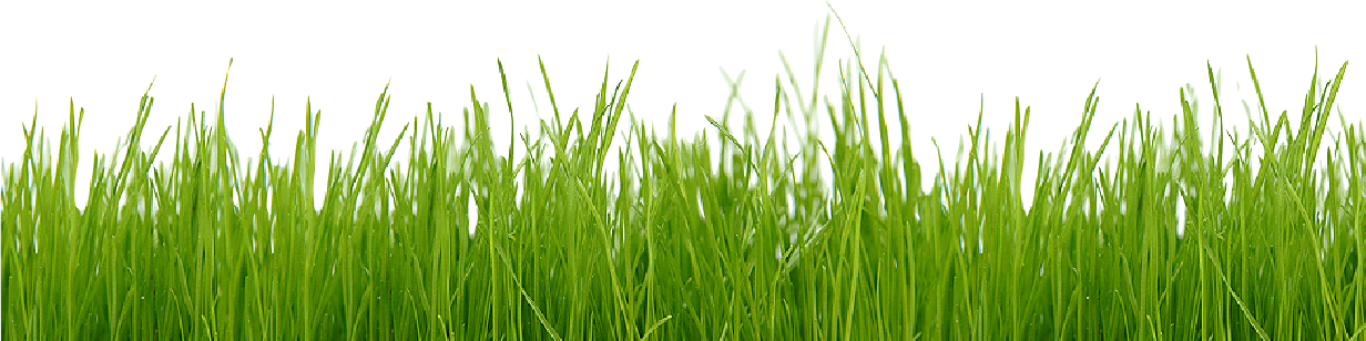 Organische Mestkorrels Verbranden Namelijk Niet Uw - Nature Grass (1232x308), Png Download