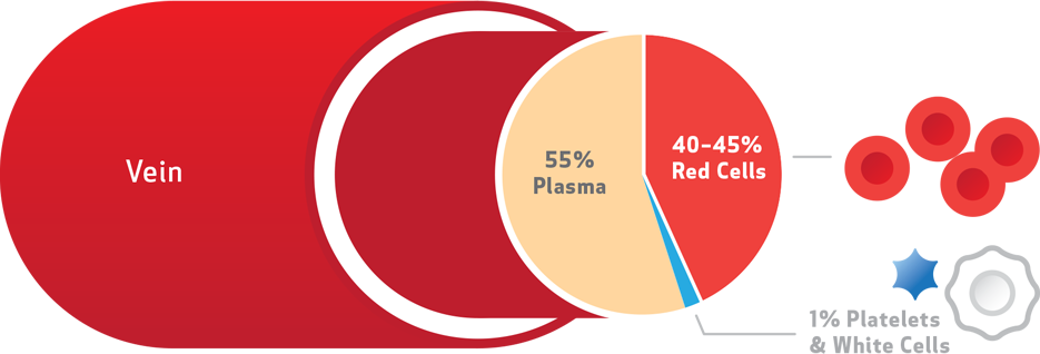 What Is Blood - Percentage Of Blood Is Red Blood Cells (935x318), Png Download