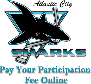 Acsharksfeesquare - Solar4america Ice (380x350), Png Download