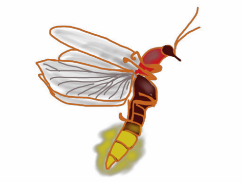Rfct Rfct - Net-winged Insects (473x356), Png Download