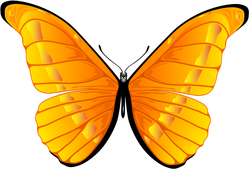 Clipart Butterfly Png 1 Free Bird - Butterfly Clipart Yellow Png (1024x693), Png Download