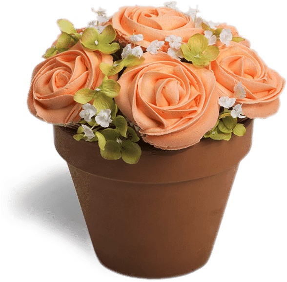 S-potted In Orange - Flower (638x800), Png Download