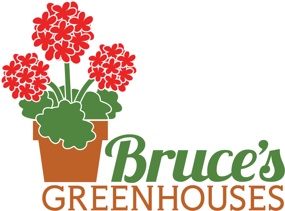 Bruce's Greenhouses - Bruce's Greenhouses Inc (1000x800), Png Download