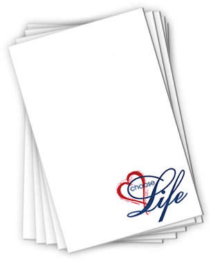 03 58850 Order Now Button Hover 13 Oct 2016 - Notepad++ (400x400), Png Download