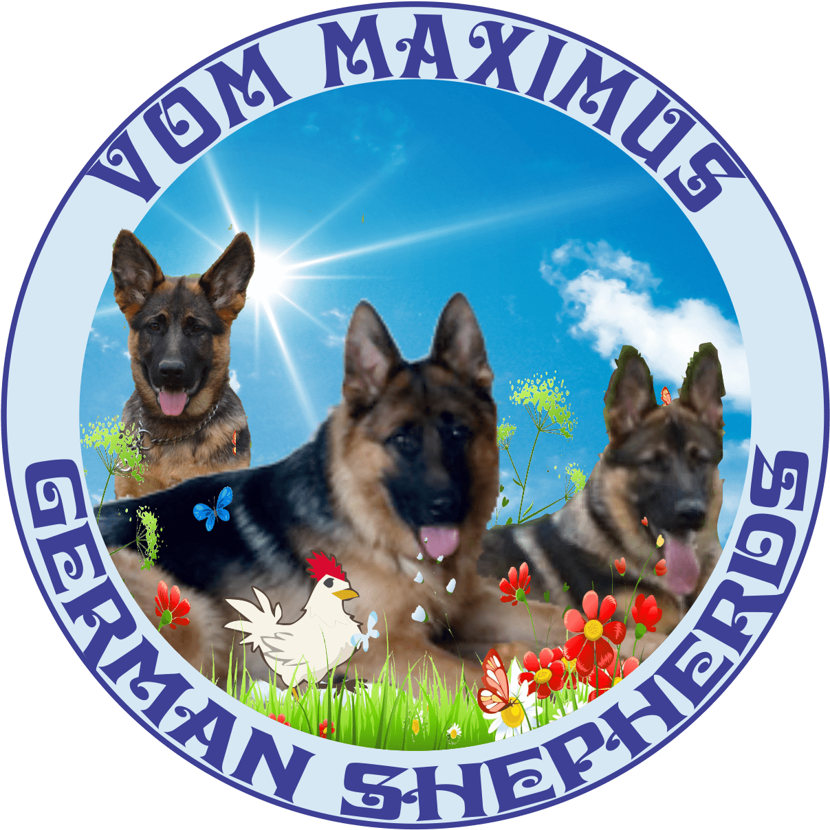 German Shepherd Puppy Contract - Old German Shepherd Dog (1206x1218), Png Download