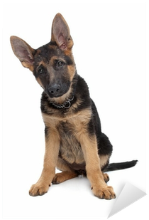Wuapu German Shepherd Dog Shampoo 250 Ml. (400x400), Png Download