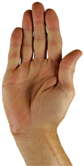 Hand-1006422 - Gesture (640x426), Png Download