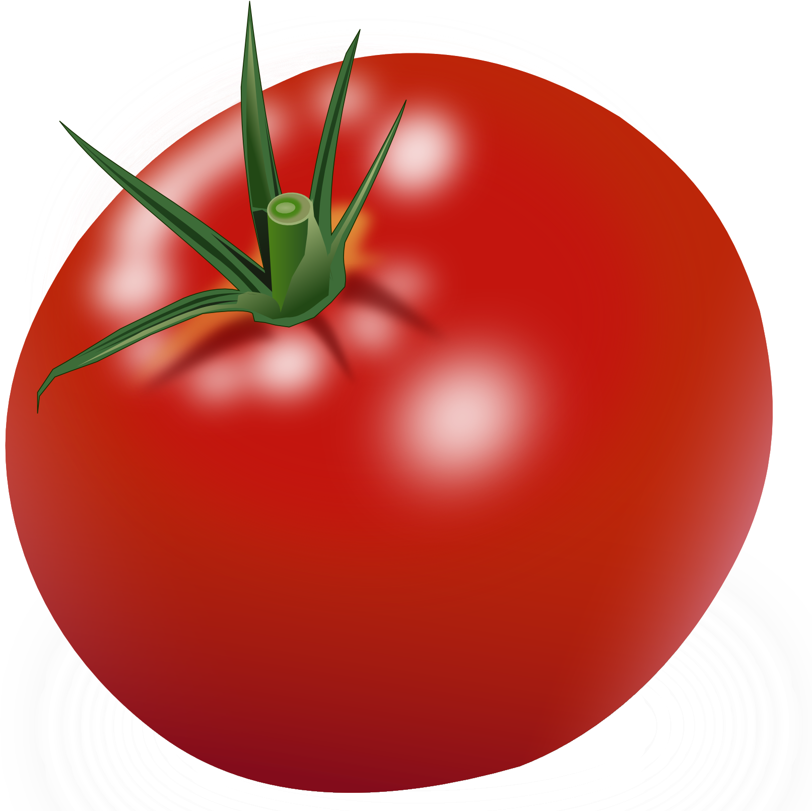 Tomato Png Clipart - Tomato Clipart (1694x1608), Png Download