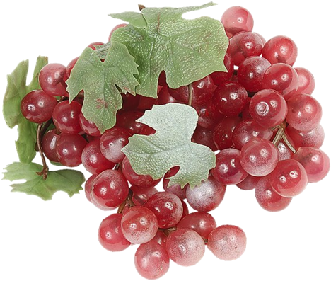 Grape Png Image Download, Free Picture - Виноград (500x419), Png Download