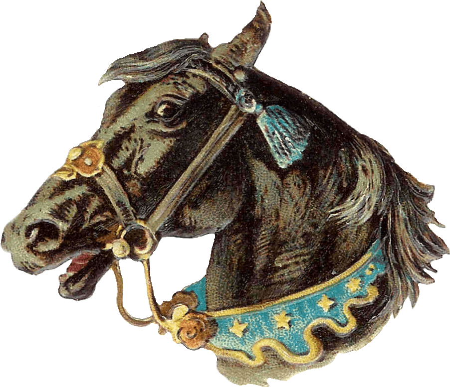 Download Vintage Horse Head Png Vintage Circus Png Full Size PNG