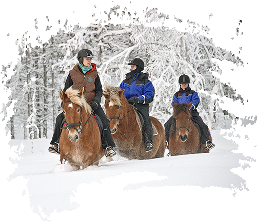 Carousel Horse Short - Kakslauttanen Arctic Resort East Village (500x450), Png Download