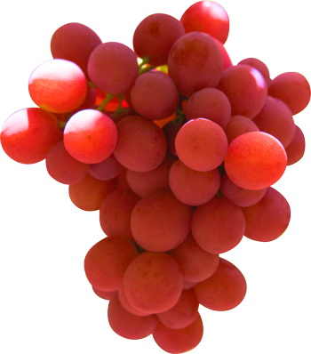 Table Grapes - Ralli Grapes (350x398), Png Download