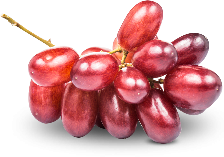 Grapes - Grape (744x744), Png Download
