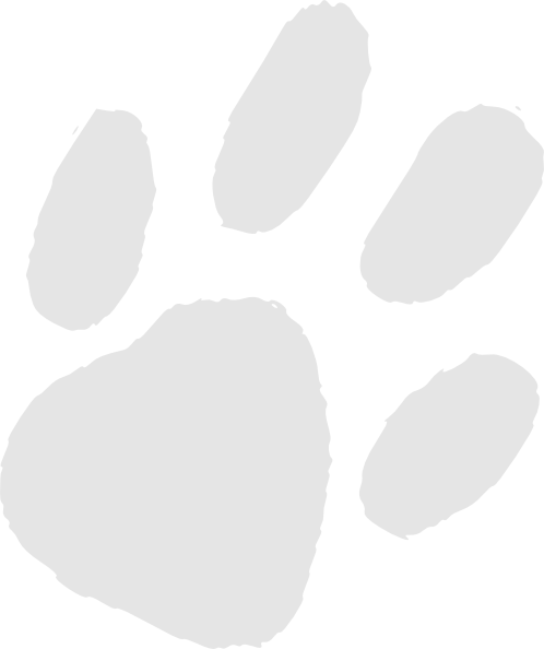 Foot (498x594), Png Download