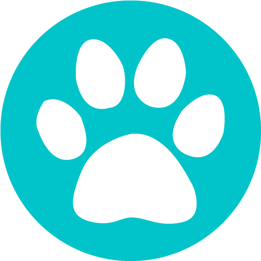 Overnight Pet Sitting $65 - Te37sl Pressed Graphite (572x550), Png Download