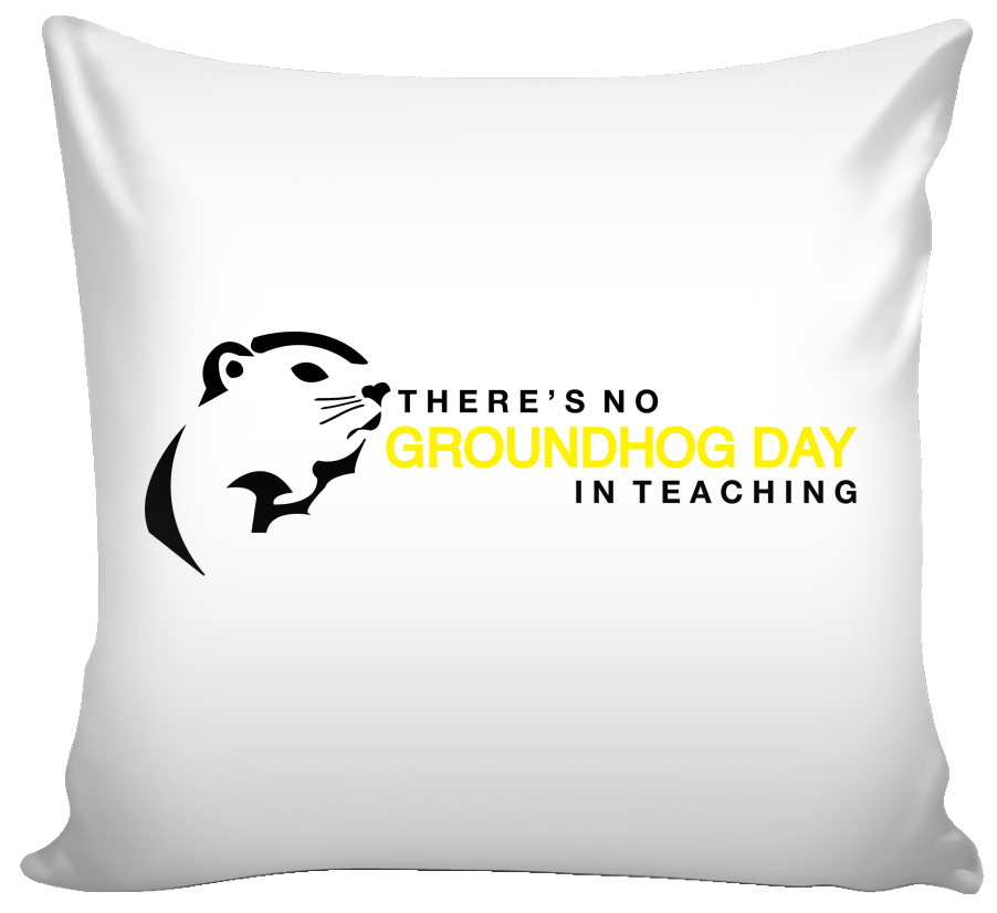 Turtle Pillow (1024x1024), Png Download