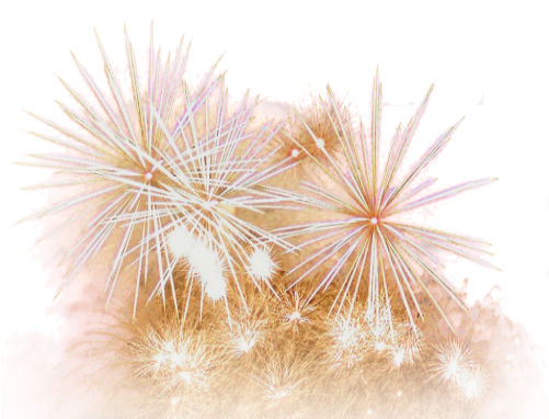 Feu D Artifice Png - Happy New Year 2011 (500x400), Png Download