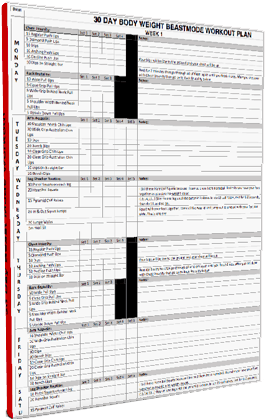 Workout Sheet - Exercise (289x431), Png Download
