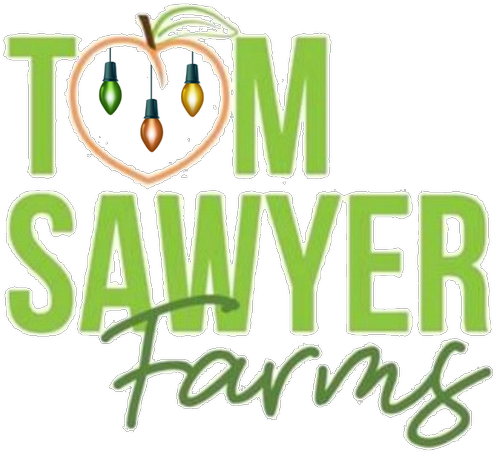 2018 Christmas Lights @ Tom Sawyer Farms - Boone County Animal Shelter (500x500), Png Download