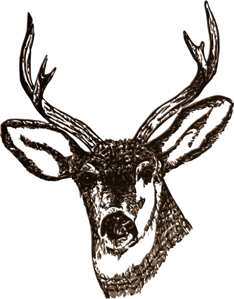 How To Set Use Deer Svg Vector (468x598), Png Download