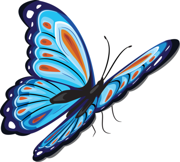 Butterfly Png (600x542), Png Download