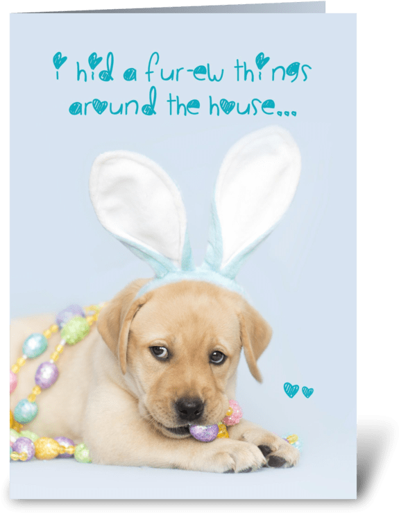 Yellow Labrador Retriever Easter Bunny Greeting Card - Labrador Retriever (700x792), Png Download