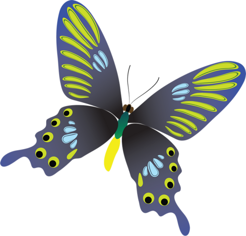 14 - 蝶 素材 (500x478), Png Download
