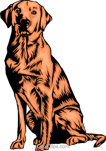 Labrador Retriever Royalty Free Vector Clip Art Illustration - Labrador-retriever.png Shower Curtain (340x480), Png Download