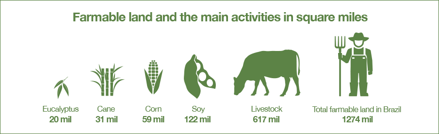 Brazil's Sugarcane Cultivation Is Concentrated In The - Dairy Cow (905x276), Png Download