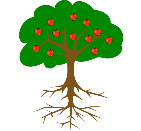 Clip Art Tree With Roots - Tree Clipart With Roots And Fruits (600x560), Png Download