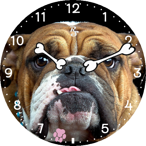 Bulldog Face - Dog Ki Photo Dikhao (480x480), Png Download