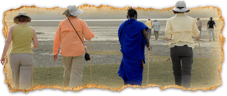 Share Your Aa Africa Safari Experience On Our Safarireviews - Walking (800x336), Png Download
