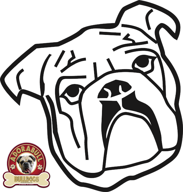 Download Bulldog Pumpkin Carving Stencils For Halloween Ok
