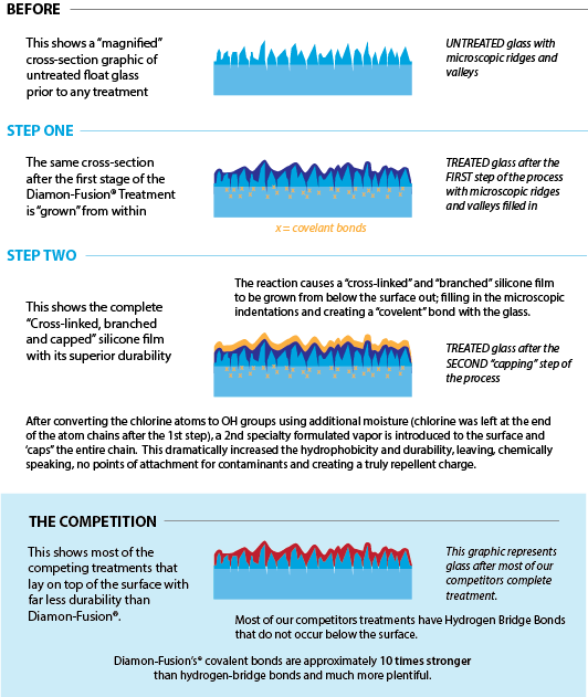 Splendor Dfi Flyer - Portable Network Graphics (532x631), Png Download