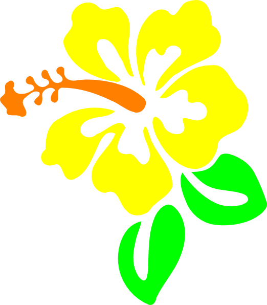 Ducttapeworld Hawaiian Flower Duct Tape Wallet (522x596), Png Download