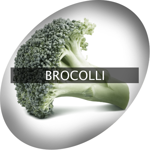 Landingimage Igrow Brocolli - Broccoli (480x480), Png Download