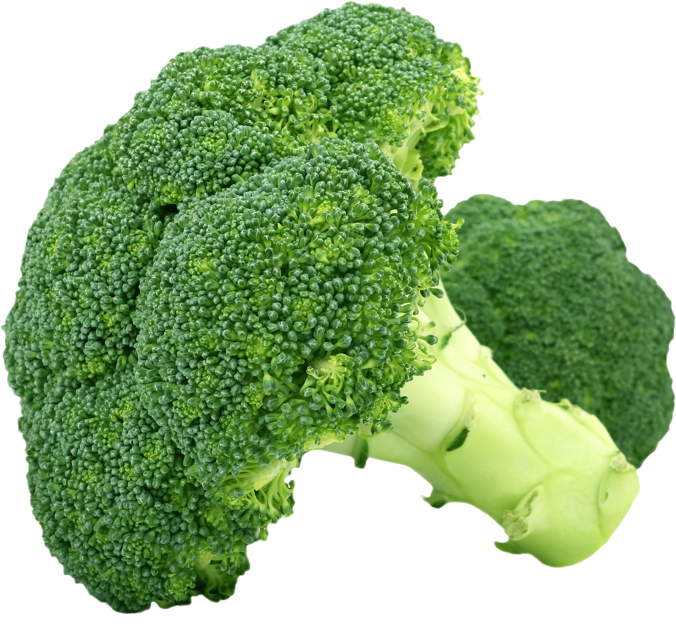 Brocolli - F & V - Broccoli Design Throw Blanket (3706x2680), Png Download